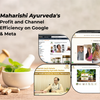 Maharishi Ayurveda’s Profit and Channel Efficiency on  Google & Meta